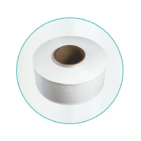 Nylon 6 High Tenacity Yarn